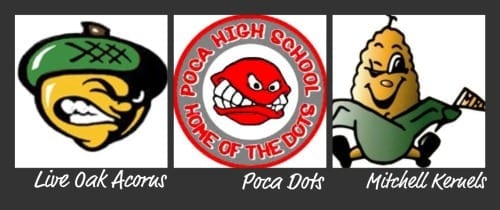 Funny High School Mascots