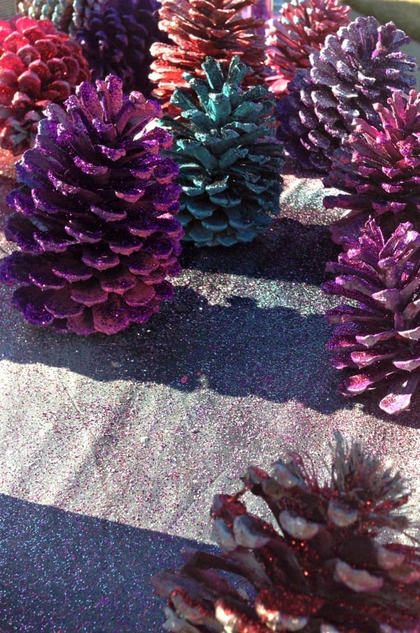 Painted Pinecone from Totally The Bomb.com