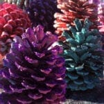 Painted Pinecone from Totally The Bomb.com