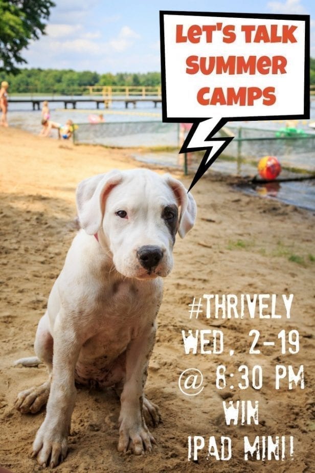 summer-camp-twitter-party-with-Thrively