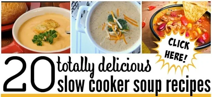 click here for totally delicious slow cooker soup recipes