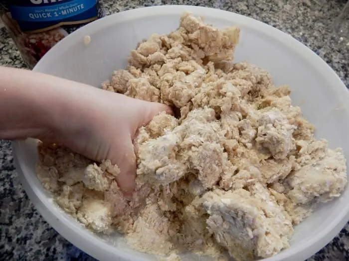 Aggression Cookies An Oatmeal Recipe Bowl
