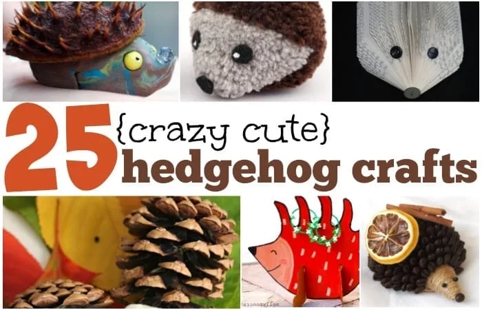 crazy cute hedgehog crafts for kids