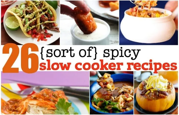 sort of spicy slow cooker recipes