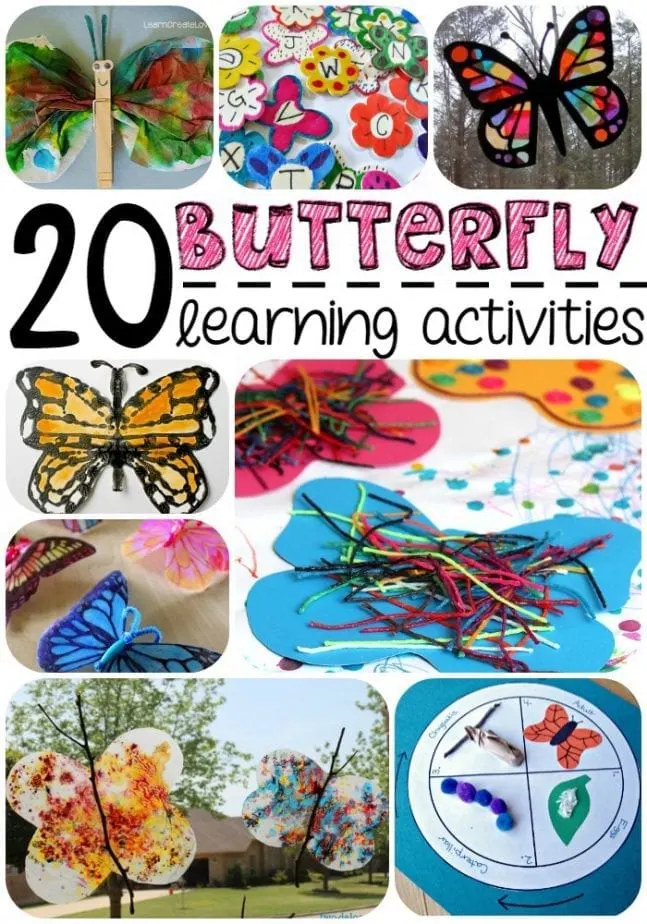 20-butterfly-learning-activities-for-kids