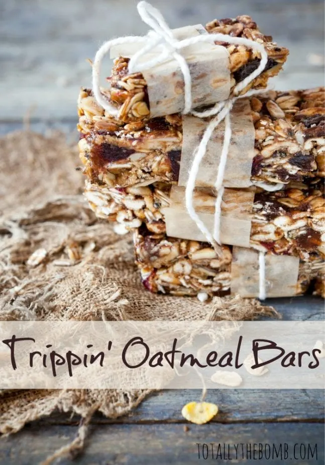 Trippin Oatmeal Bars