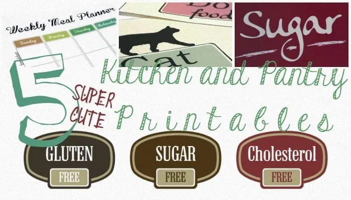 5 super cute kitchen and pantry printables