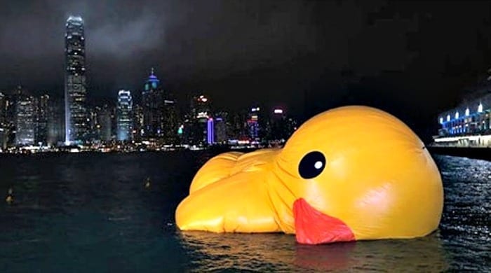 deflated duck
