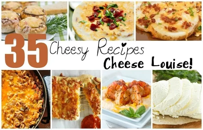 recipes with cheese in them feature