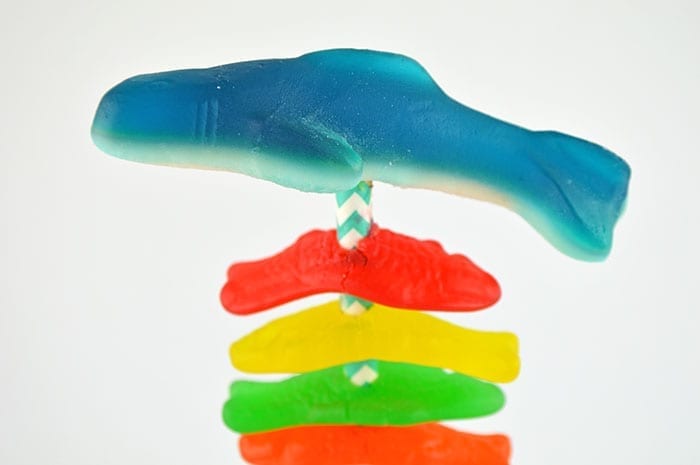 Shark Gummy Kabobs Inprocess3
