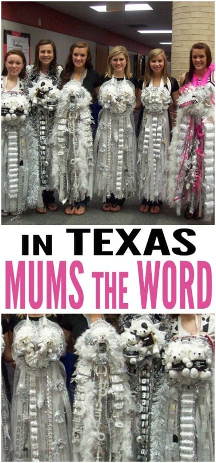 In Texas, Mums The Word. And like everything else, we like our mums to be as BIG as possible. Click now!