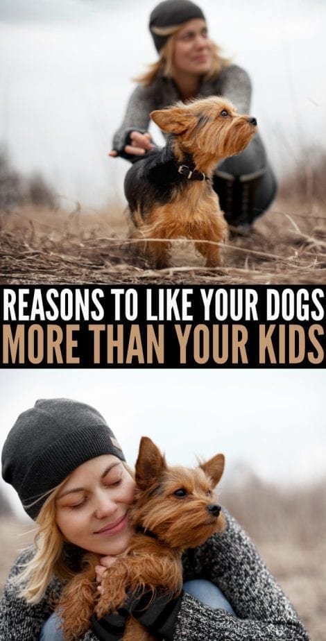 REASONS TO LIKE YOUR DOGS MORE THAN YOUR KIDS