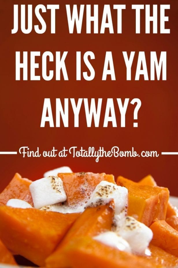 what the heck is a yam anyway