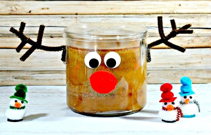 DIY Gift Idea: Rudolph Candle & Printable Gift Tag