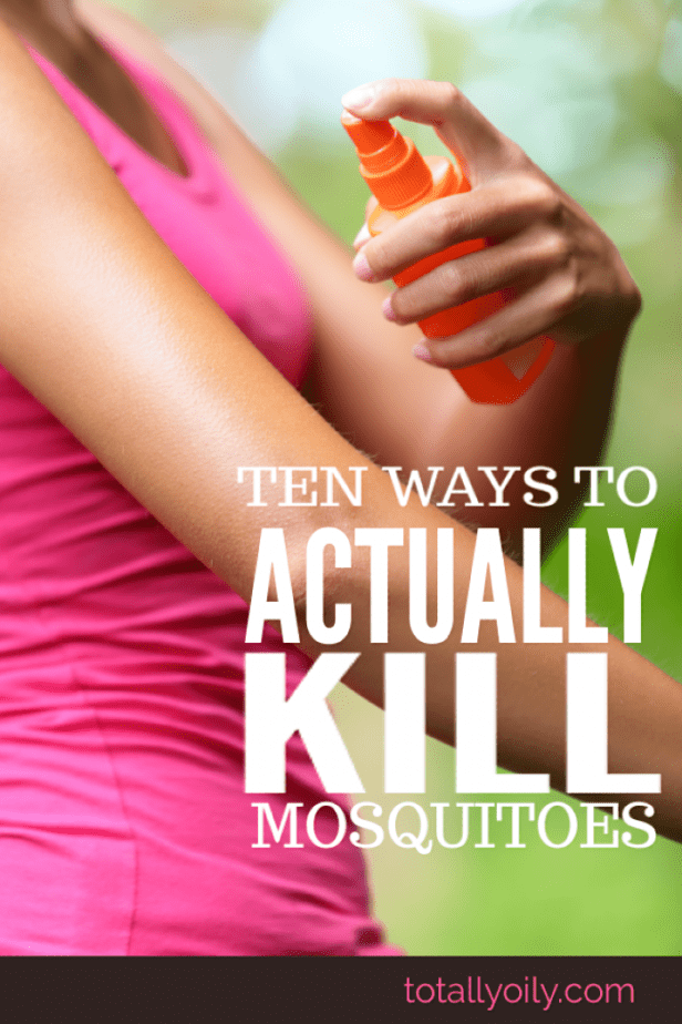 TEN WAYS TO ACTUALLY KILL MOSQUITOES