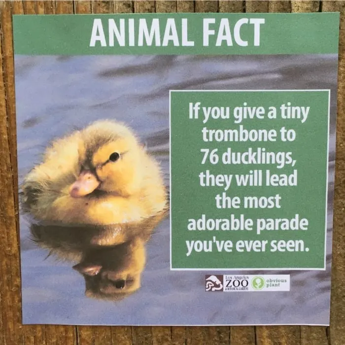 This Reddit User Left Fake Animal Facts At The . Zoo - And They're  Hilarious!