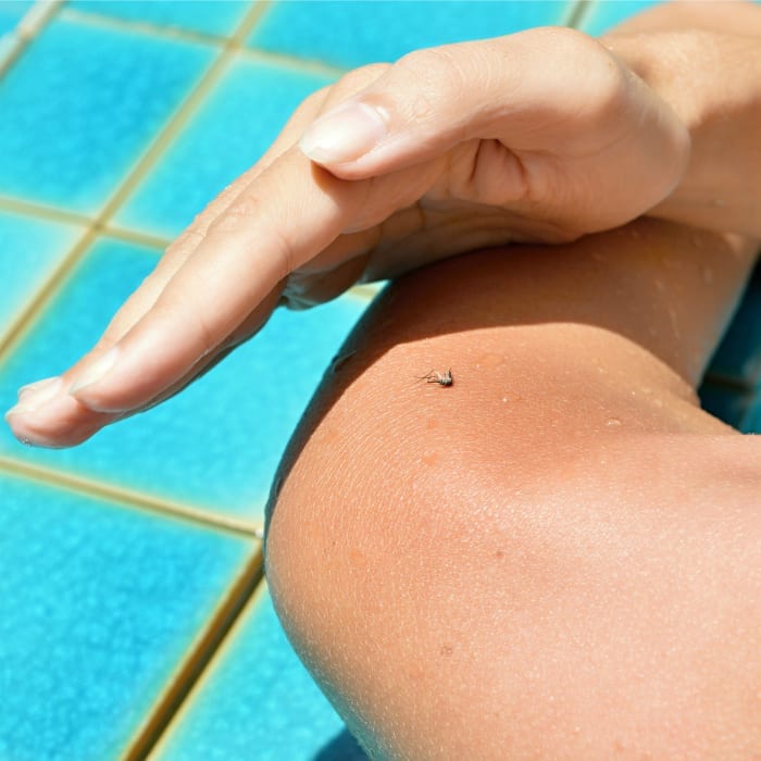 mosquito bugging you at the pool