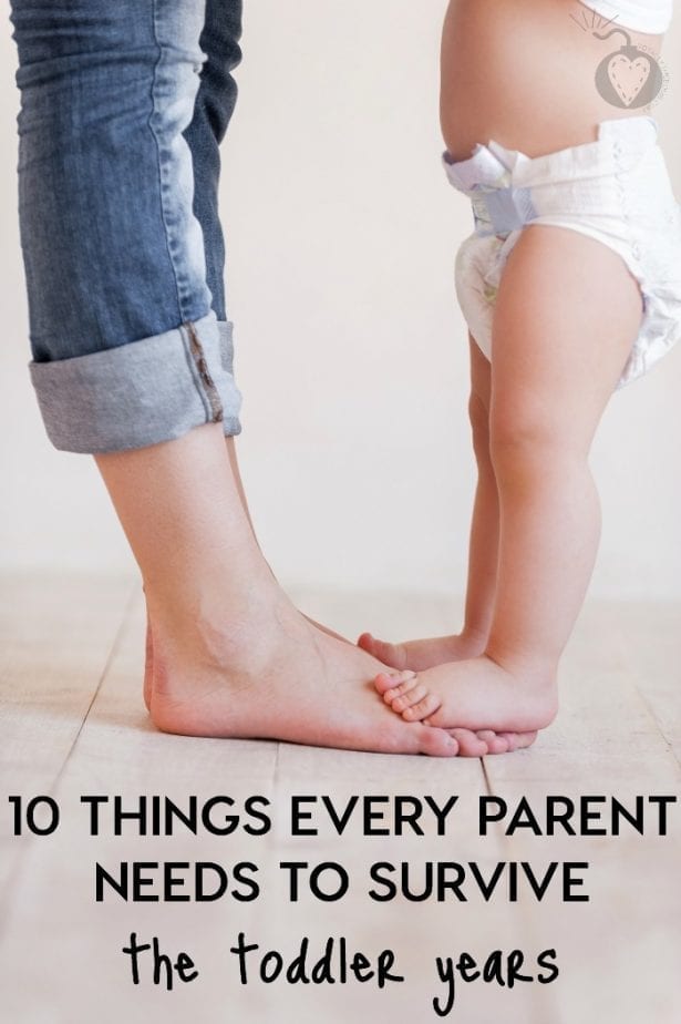 10 Things Every Parent Needs to Survive The Toddler Years