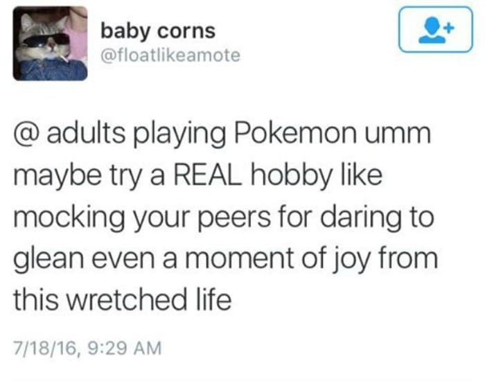 get a real hobby