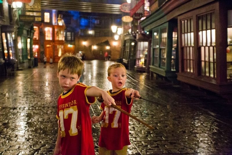 The Wand Experience at Diagon Alley