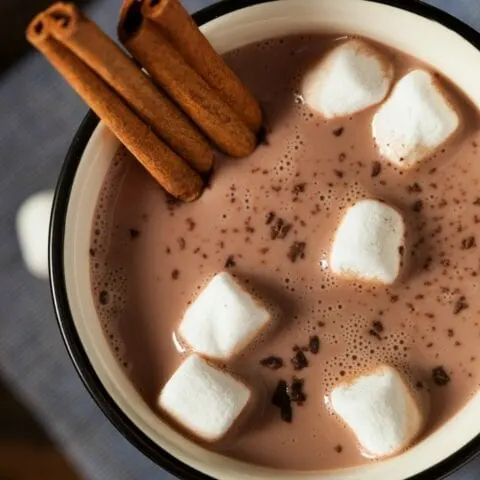 Sinfully Delicious Slow Cooker Hot Cocoa