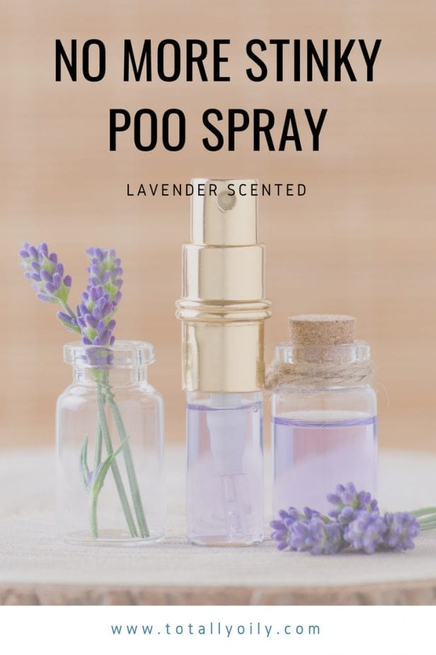DIY Lavender Scented "No More Stinky