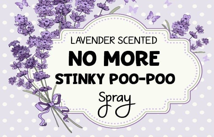 DIY Lavender Scented “No More Stinky Poo-Poo” Spray