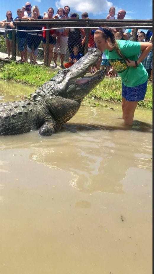 girl kisses alligator