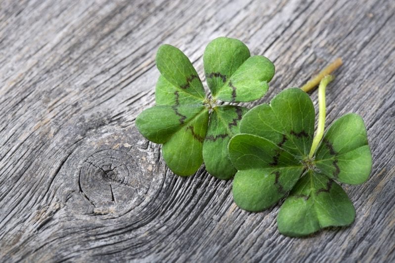 Here Are Tons Of Things You Didn’t Know About St. Patrick’s Day