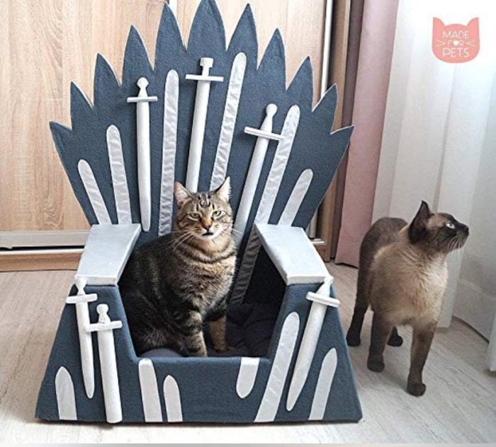 Game of Thrones dog bed with two cats in it, much like the premise of the show.