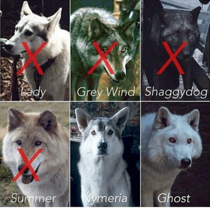 A series of images of the various dogs used in the Game of Thrones, x's over each one that was killed in the series.