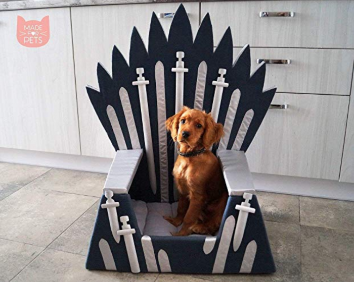 Game of Thrones dog bed with cute dog in it.