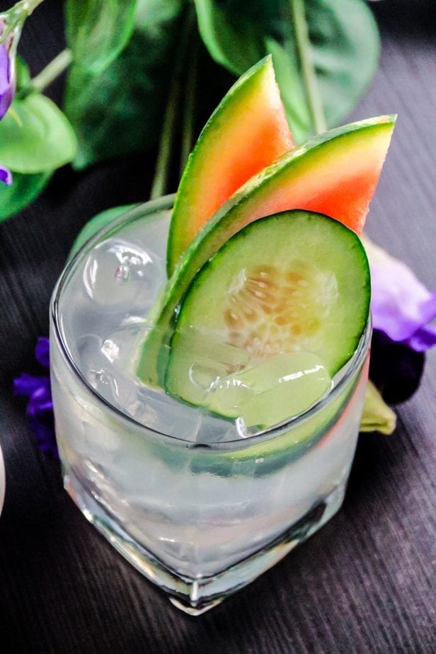 I know it's early, but summer is creeping up on us and I am chilling this spring with this amazingly refreshing Watermelon Cucumber Tonic. #cocktailrecipes #cocktail #summercocktail #watermeloncocktail