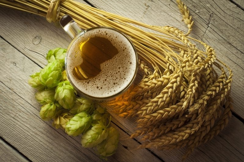 A great way to craft an amazing beer is to start the process yourself from scratch. You can grow your own beer garden at home to enhance the flavor of your home brewed beer. #beer #homebrewing #beergarden