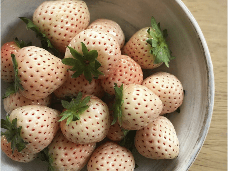 Pineberries Are Strawberries That Taste Like Pineapple And I Want Them Now