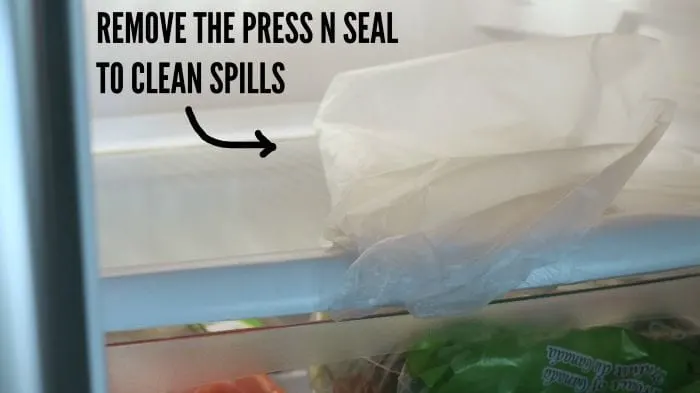 Press'n Seal Art Bib