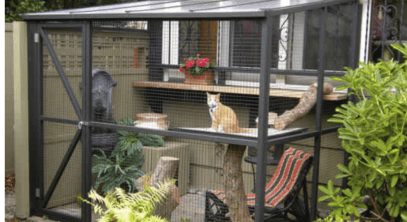 ‘Catios’ Are The New Outdoor Space For Cats and Owners Can’t Get Enough