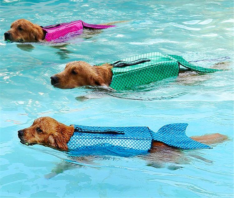 Make Your Dog Into A Mermaid With This Sparkly Life Jacket
