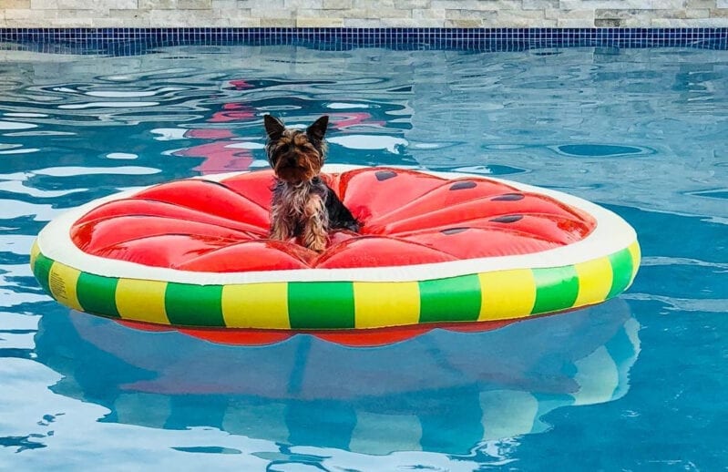 This Giant Watermelon Slice Pool Float Is EVERYTHING Summer NEEDS!