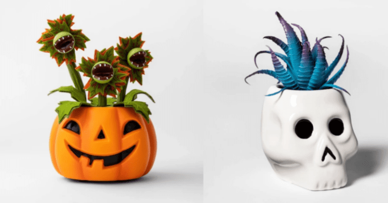 Target Released A Sneak Peek Of Their 2019 Halloween Collection