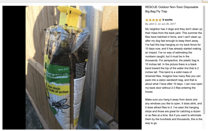 Got Flies? People Are Saying These Are The Best Fly Traps And I Agree