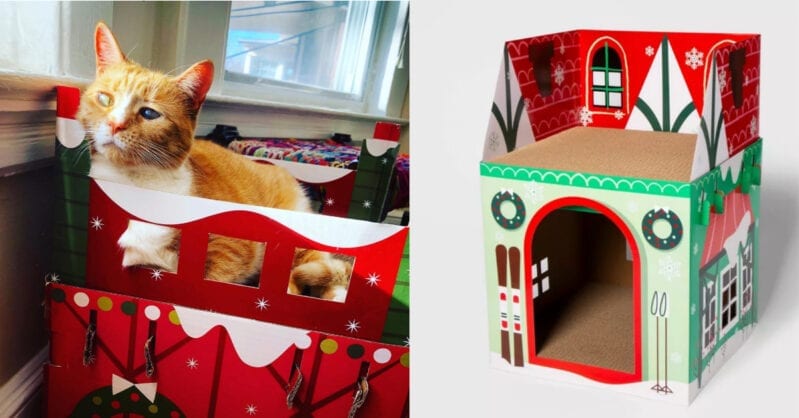 You Can Get A Christmas House For Your Cat at Target and They’re Festively Adorable