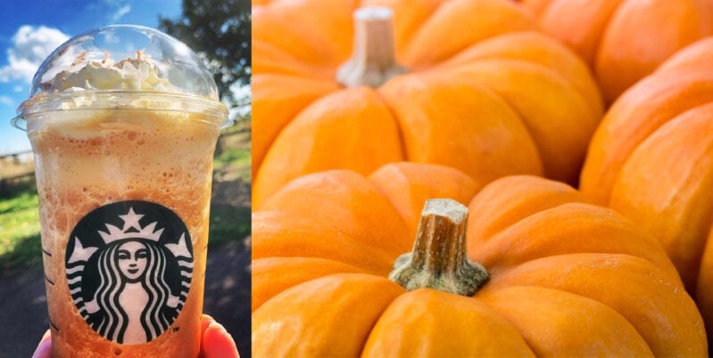 Here’s How to Order a Starbucks Halloween Eggnog Frappuccino