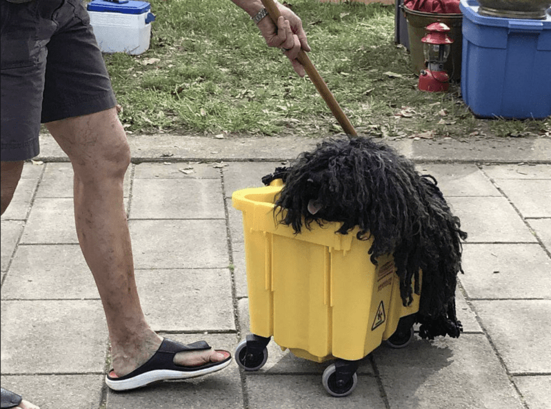 This Mop Dog Halloween Costume Is The CUTEST Costume Ever