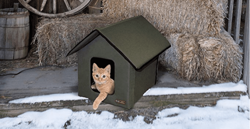 You Can Now Get A Heated Cat House For The Kitty Who Lives Outdoors