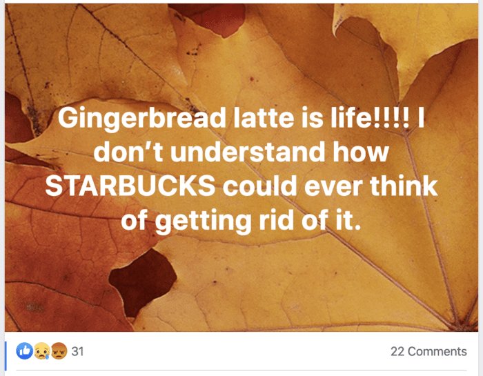 Starbucks holiday drinks are only seasonal, and the gingerbread latte doesn't stick around all year long