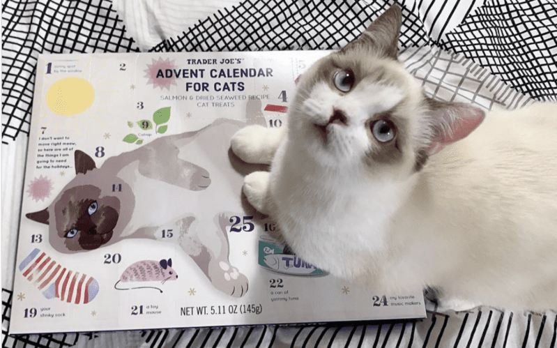 Trader Joe’s is Selling $6 Advent Calendars Filled with Treats for Your Pet