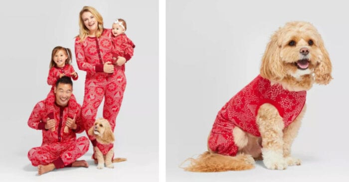 Your Whole Family Can Get Matching Christmas Pajamas at Target - Even the Dog