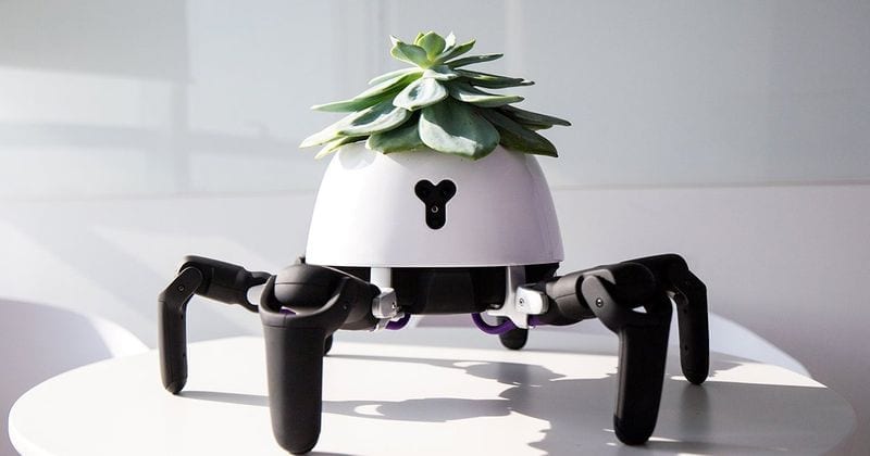 This Little Robot Helps Keep Your Plants Alive And Throws A Tantrum When It Needs Water