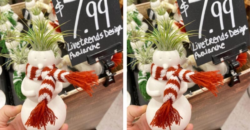Target is Selling $8 Snowman Plants and I Need One